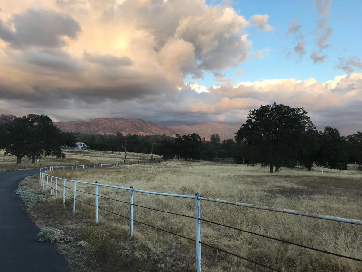 Apartament Morning Star Vista Near Yosemite - Countryside With Mountain Views Mariposa Zewnętrze zdjęcie